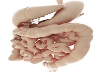 Tìm ra thuốc có thể điều trị các triệu chứng của bệnh Crohn