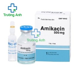 Amikacin 500 Bidiphar - Thuốc điều trị nhiễm khuẩn nặng hiệu quả