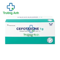 Cefotaxone 1g Bidiphar - Thuốc điều trị nhiễm khuẩn hiệu quả