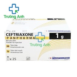 Ceftriaxone Panpharma 1g - Thuốc điều trị nhiễm khuẩn hiệu quả