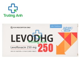 LevoDHG 250 - Thuốc điều trị nhiễm trùng hiệu quả của DHG