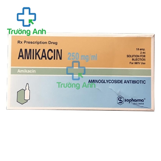 Amikacin 250mg/ml Sopharma - Thuốc điều trị nhiễm khuẩn nặng hiệu quả
