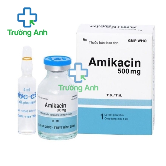 Amikacin 500 Bidiphar - Thuốc điều trị nhiễm khuẩn nặng hiệu quả