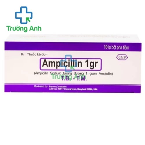 Ampicillin 1gr Mỹ - Thuốc điều trị các bệnh nhiễm khuẩn hiệu quả