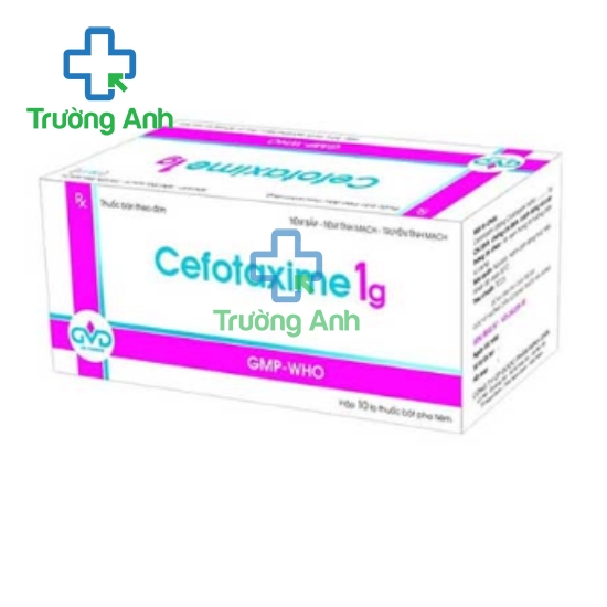 Cefotaxime 1g MD Pharco - Thuốc điều trị nhiễm khuẩn nặng hiệu quả