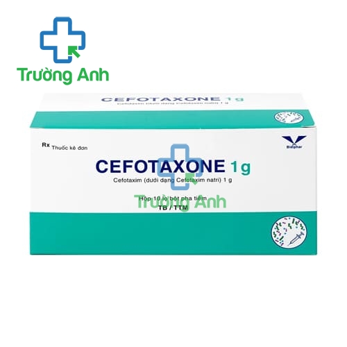 Cefotaxone 1g Bidiphar - Thuốc điều trị nhiễm khuẩn hiệu quả