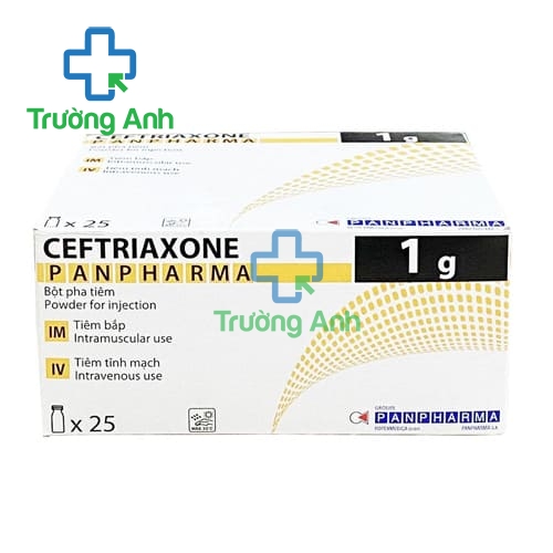 Ceftriaxone Panpharma 1g - Thuốc điều trị nhiễm khuẩn hiệu quả