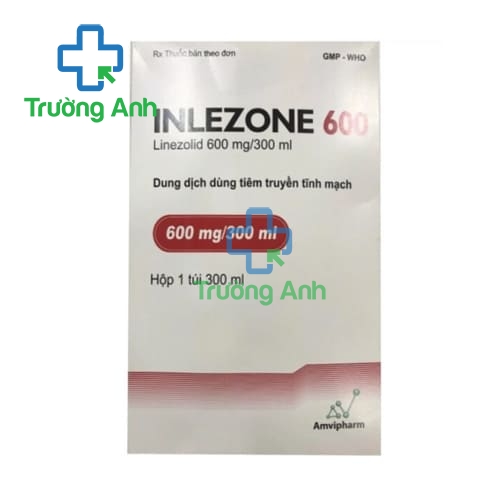Inlezone 600 Amvipharm - Thuốc điều trị nhiễm khuẩn hiệu quả