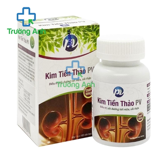 Kim tiền thảo PV (viên nang) - Giúp điều trị sỏi đường tiết niệu hiệu quả