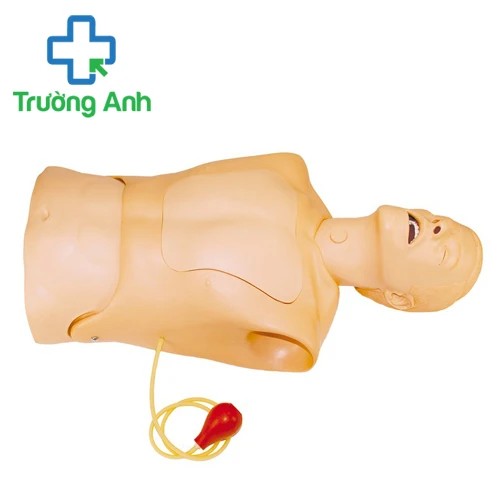 Mô hình đặt Sonde dạ dày 375-10001 Laerdal của Na Uy