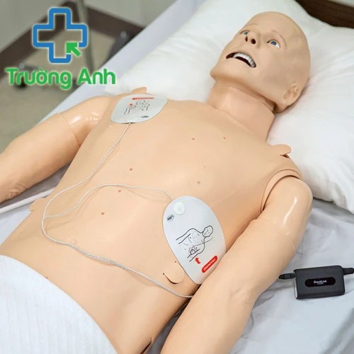 Mô hình cấp cứu người lớn SimMan ALS của Laerdal, Na Uy