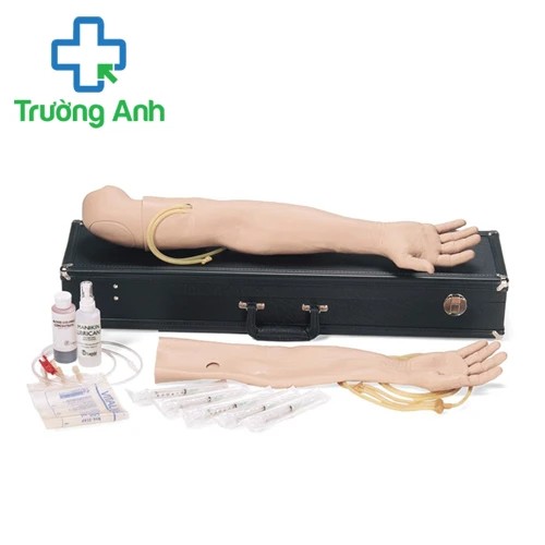 Mô hình tiêm tĩnh mạch cánh tay 270-00001 Laerdal của Na Uy