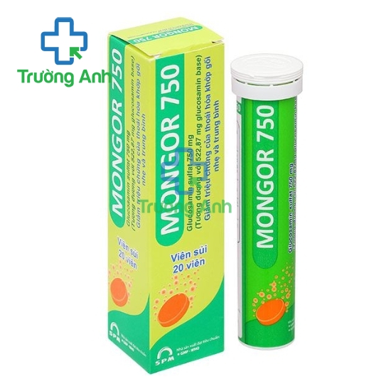 Mongor 750 SPM - Thuốc điều trị chống viêm giảm đau hiệu quả